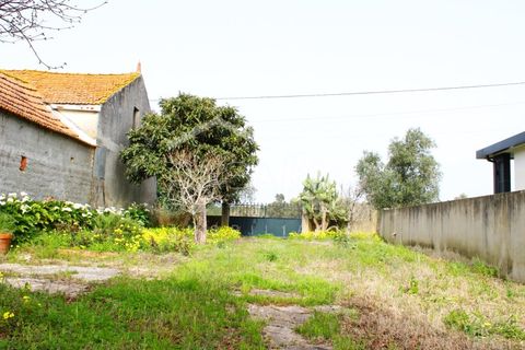Haus in Arouca, Aveiro, Arouca - € 135.000 | Ref: CRAF1033 - Foto 33