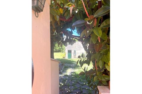 Villa i Sintra, Lisbon, Sintra - € 1.150.000 | Ref: M731 - foto 7