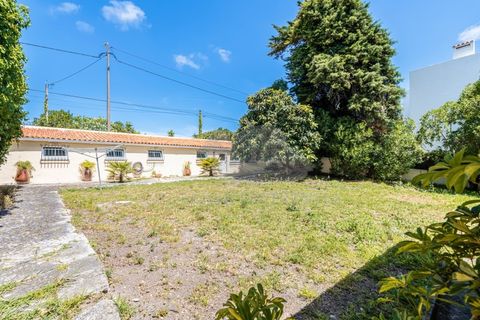 Villa i Sintra, Lisbon, Sintra - € 1.150.000 | Ref: M731 - foto 9