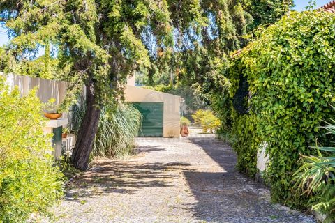Villa i Sintra, Lisbon, Sintra - € 1.150.000 | Ref: M731 - foto 10