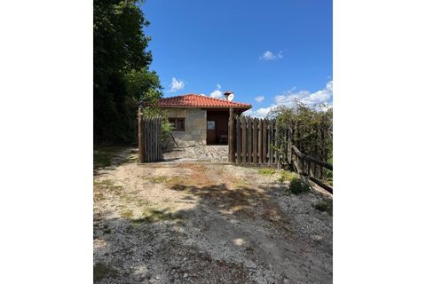 Villa i Celorico de Basto, Braga, Celorico de Basto - € 385.000 | Ref: KWPT-032538 - foto 3