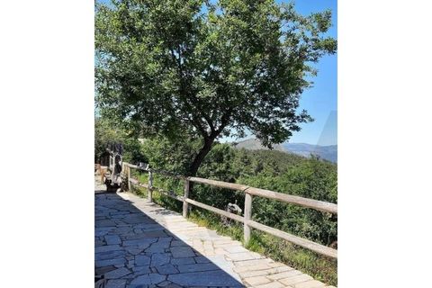 Villa i Celorico de Basto, Braga, Celorico de Basto - € 385.000 | Ref: KWPT-032538 - foto 7