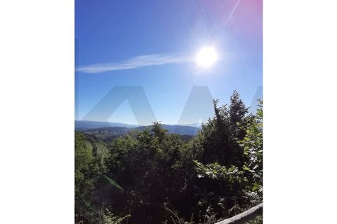Villa i Celorico de Basto, Braga, Celorico de Basto - € 385.000 | Ref: KWPT-032538 - foto 8