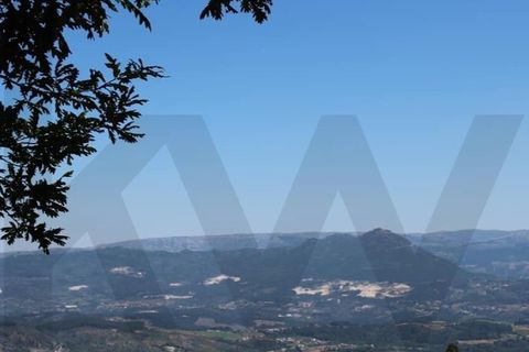 Villa i Celorico de Basto, Braga, Celorico de Basto - € 385.000 | Ref: KWPT-032538 - foto 45