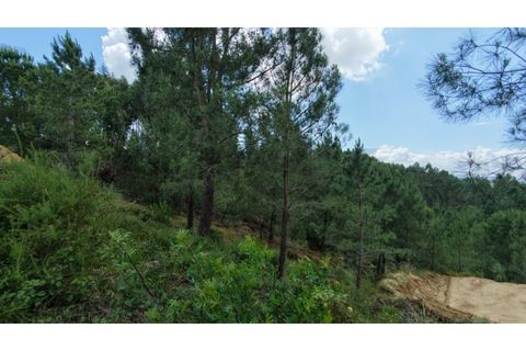 Terra em Azambuja, Lisbon, Azambuja - € 350.000 | Ref: KWPT-033084 - foto 7