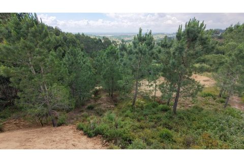 Terra em Azambuja, Lisbon, Azambuja - € 350.000 | Ref: KWPT-033084 - foto 8