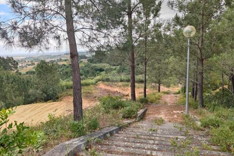 Terra em Azambuja, Lisbon, Azambuja - € 350.000 | Ref: KWPT-033084 - foto 11