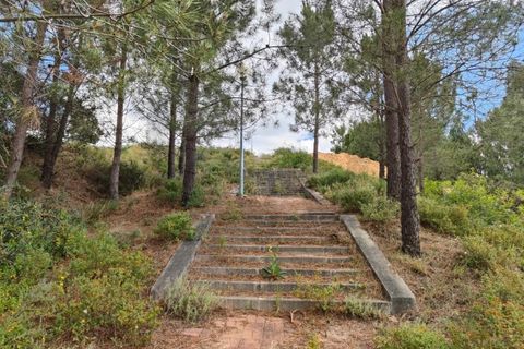 Terra em Azambuja, Lisbon, Azambuja - € 350.000 | Ref: KWPT-033084 - foto 13