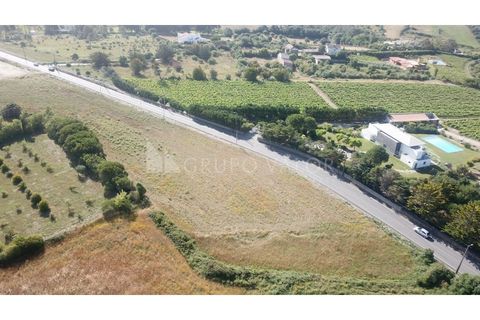 Helårsgrund i Sintra, Lisbon, Sintra - € 350.000 | Ref: 010061241 - foto 4