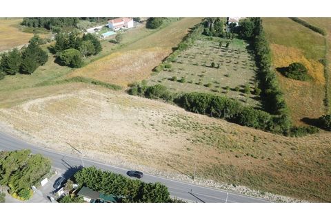 Helårsgrund i Sintra, Lisbon, Sintra - € 350.000 | Ref: 010061241 - foto 5
