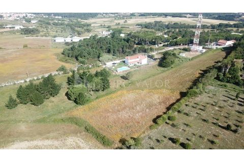 Helårsgrund i Sintra, Lisbon, Sintra - € 350.000 | Ref: 010061241 - foto 6