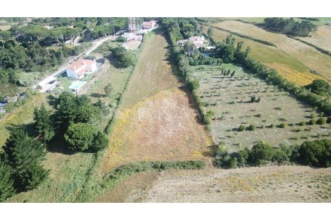 Helårsgrund i Sintra, Lisbon, Sintra - € 350.000 | Ref: 010061241 - foto 7