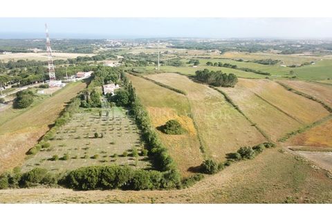 Helårsgrund i Sintra, Lisbon, Sintra - € 350.000 | Ref: 010061241 - foto 9