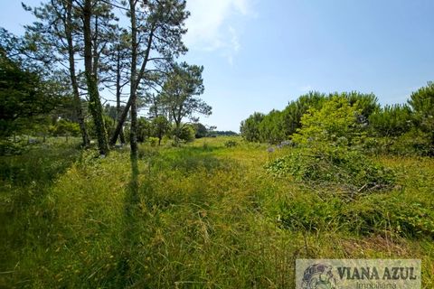 Villa i Viana do Castelo, Viana do Castelo, Viana do Castelo - € 360.000 | Ref: 2286 - foto 33