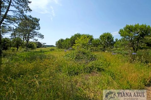 Villa i Viana do Castelo, Viana do Castelo, Viana do Castelo - € 360.000 | Ref: 2286 - foto 34