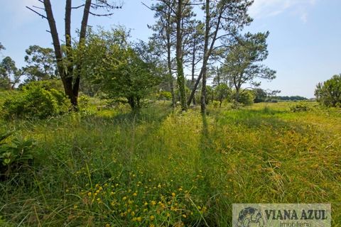 Villa i Viana do Castelo, Viana do Castelo, Viana do Castelo - € 360.000 | Ref: 2286 - foto 35