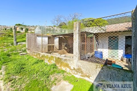 Villa i Viana do Castelo, Viana do Castelo, Viana do Castelo - € 375.000 | Ref: 2200 - foto 39