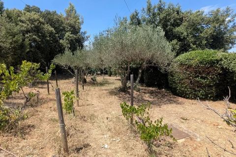 Villa i Carcès, Var, Carcès - € 437.000 | Ref: 3670 - foto 21
