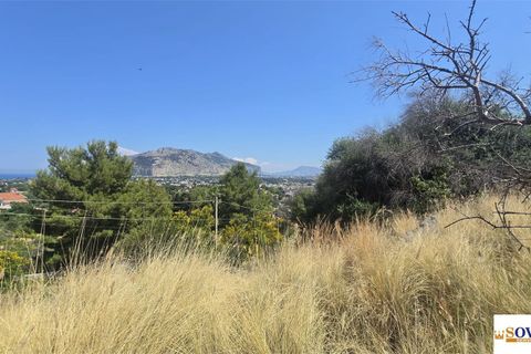 Terreno en Palermo, Palermo, Palermo - € 45.000 | Ref: 82/26 - photo 5