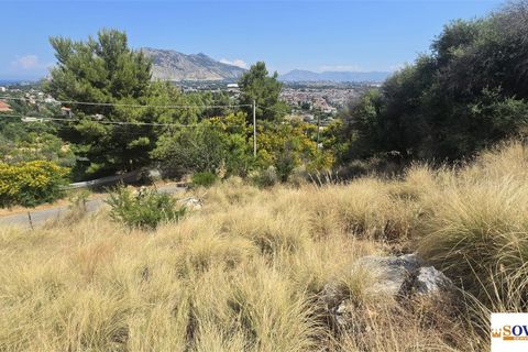 Terreno en Palermo, Palermo, Palermo - € 45.000 | Ref: 82/26 - photo 6