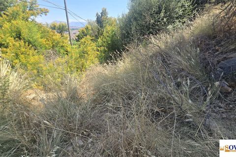 Terreno en Palermo, Palermo, Palermo - € 45.000 | Ref: 82/26 - photo 14