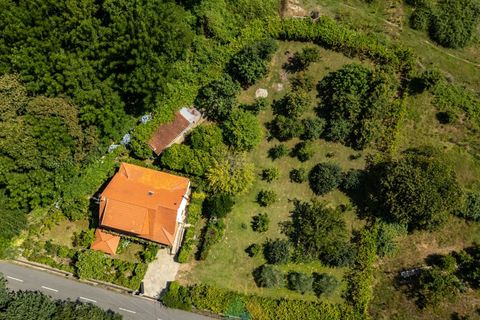 Villa i Ponte de Lima, Viana do Castelo, Ponte de Lima - € 490.000 | Ref: PTL-019-027 - foto 4
