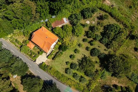 Villa i Ponte de Lima, Viana do Castelo, Ponte de Lima - € 490.000 | Ref: PTL-019-027 - foto 9
