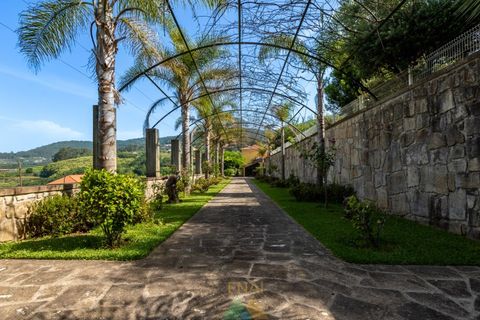 Farm i Ponte de Lima, Viana do Castelo, Ponte de Lima - € 1.325.000 | Ref: PTL-019-025 - foto 2
