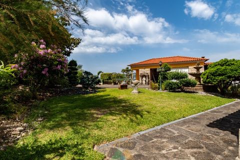 Farm i Ponte de Lima, Viana do Castelo, Ponte de Lima - € 1.325.000 | Ref: PTL-019-025 - foto 12