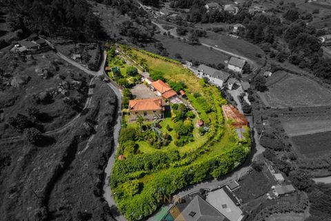 Farm i Ponte de Lima, Viana do Castelo, Ponte de Lima - € 1.325.000 | Ref: PTL-019-025 - foto 14