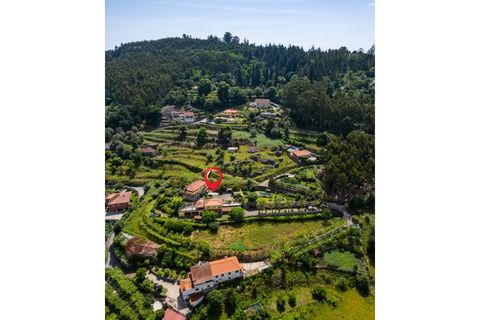 Farm i Ponte de Lima, Viana do Castelo, Ponte de Lima - € 1.325.000 | Ref: PTL-019-025 - foto 20