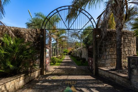 Farm i Ponte de Lima, Viana do Castelo, Ponte de Lima - € 1.325.000 | Ref: PTL-019-025 - foto 22