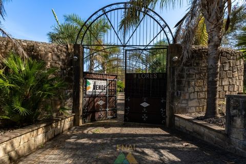 Farm i Ponte de Lima, Viana do Castelo, Ponte de Lima - € 1.325.000 | Ref: PTL-019-025 - foto 23