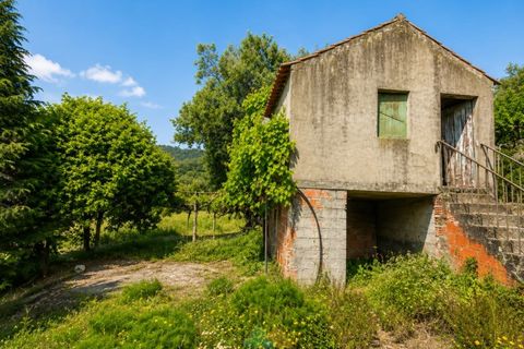 Villa i Ponte de Lima, Viana do Castelo, Ponte de Lima - € 95.000 | Ref: PTL-001-150 - foto 2