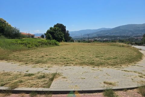 Helårsgrund i Ponte de Lima, Viana do Castelo, Ponte de Lima - € 85.000 | Ref: AVV-028-012 - foto 2