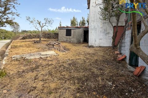 Villa en Serta, Castelo Branco, Serta - € 47.000 | Ref: MG174 - photo 29