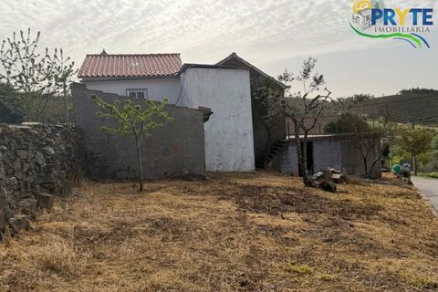 Villa en Serta, Castelo Branco, Serta - € 47.000 | Ref: MG174 - photo 34