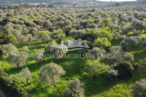 Erhvervsejendom i Alghero, Sassari, Alghero - € 85.000 | Ref: ALG116 - foto 10