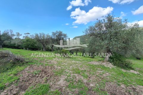 Erhvervsejendom i Alghero, Sassari, Alghero - € 85.000 | Ref: ALG116 - foto 14