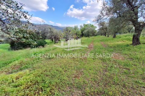 Erhvervsejendom i Alghero, Sassari, Alghero - € 85.000 | Ref: ALG116 - foto 16