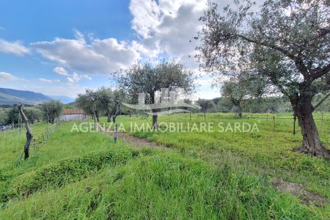 Erhvervsejendom i Alghero, Sassari, Alghero - € 85.000 | Ref: ALG116 - foto 18