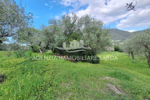 Erhvervsejendom i Alghero, Sassari, Alghero - € 85.000 | Ref: ALG116 - foto 21
