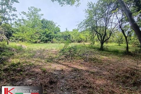Terreno en Sciolze, Turin, Sciolze - € 30.000 | Ref: Sciol-ter - photo 3