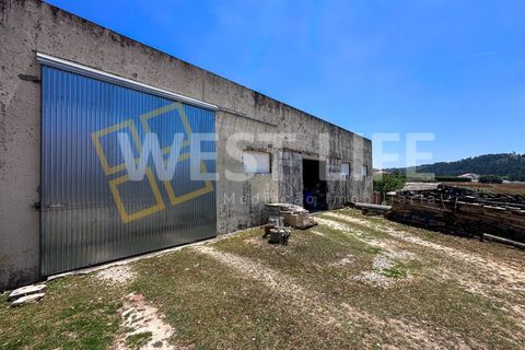 Villa i Mafra, Lisbon, Mafra - € 1.690.000 | Ref: 5566WE - foto 28