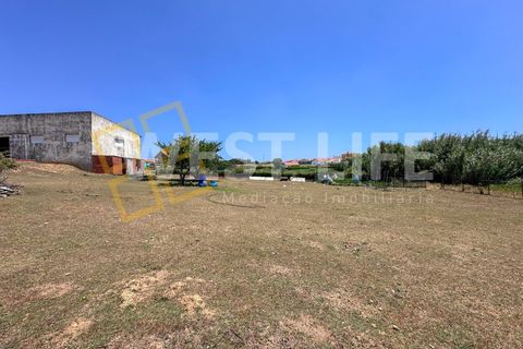 Villa i Mafra, Lisbon, Mafra - € 1.690.000 | Ref: 5566WE - foto 31