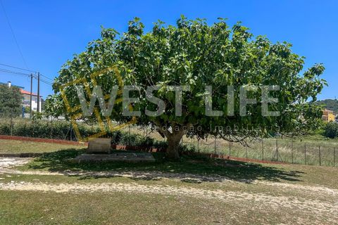 Villa i Mafra, Lisbon, Mafra - € 1.690.000 | Ref: 5566WE - foto 37
