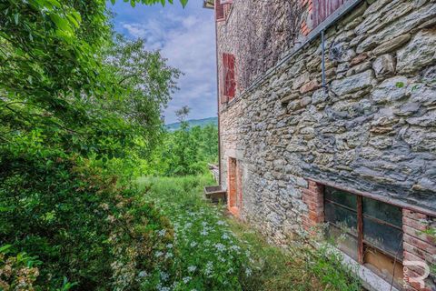 Masia a Badia Tedalda, Arezzo, Badia Tedalda - € 150.000 | Ref: R07231BARU-1371411 - foto 7