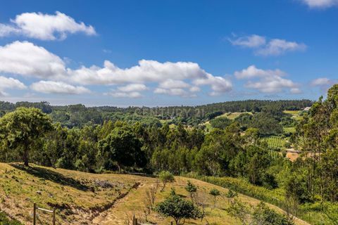 Villa i Caldas da Rainha, Leiria, Caldas da Rainha - € 790.000 | Ref: 0897-02197 - foto 26