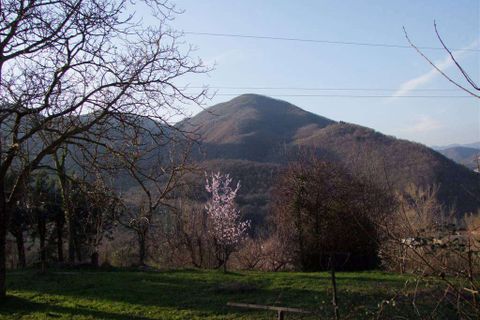Farm hus i Rufina, Florence, Rufina - € 420.000 | Ref: A6273RC1269548A-1372095 - foto 5