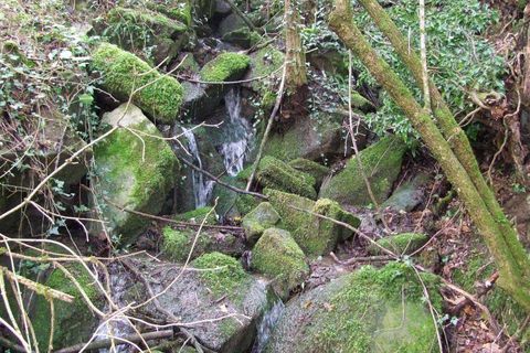 Farm hus i Rufina, Florence, Rufina - € 420.000 | Ref: A6273RC1269548A-1372095 - foto 17